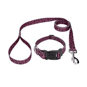 Dog Collar and Leash set
